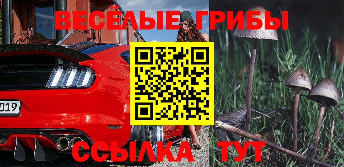 Галлюциногенные грибы Psilocybe  Псилоцибиновые грибы MAGIC MUSHROOMS  Южноуральск  Вход с VPN 